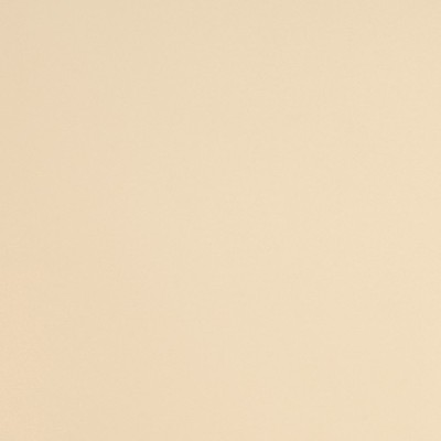 HX20468B - Ivoire Brillant 2